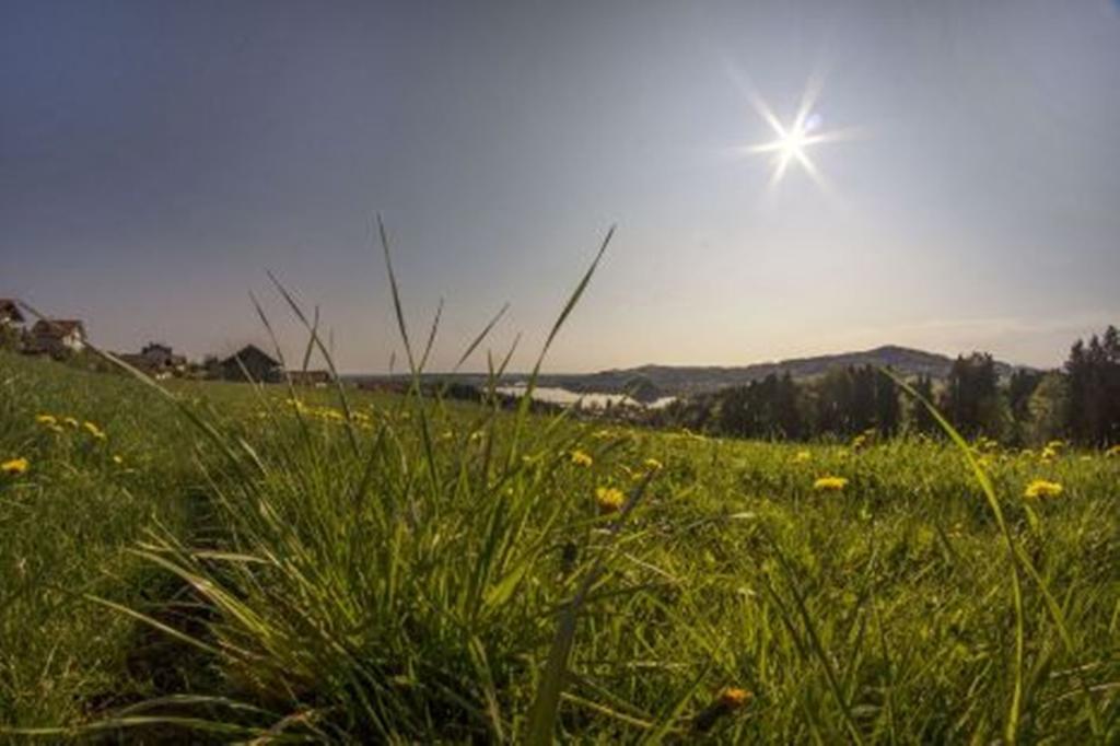 Vila Stiedlbauerhof Seeham Pokoj fotografie